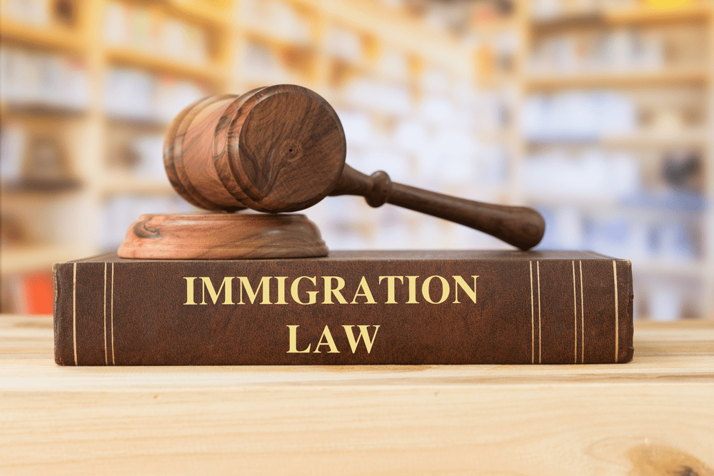 Immigration Consultants in Sialkot